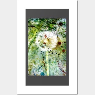 Springtime dandelion Posters and Art